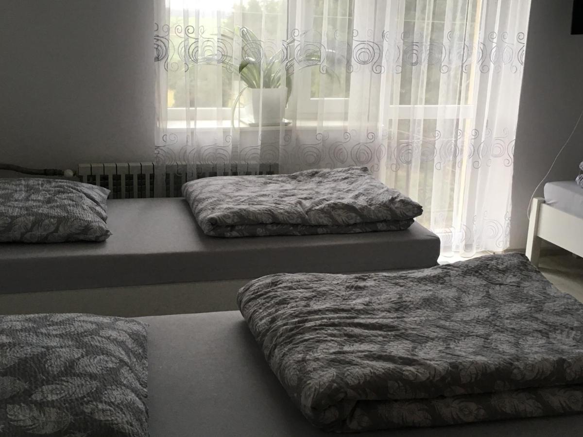 Willa Agroturstyka u Witka Brynica Mokra Zewnętrze zdjęcie